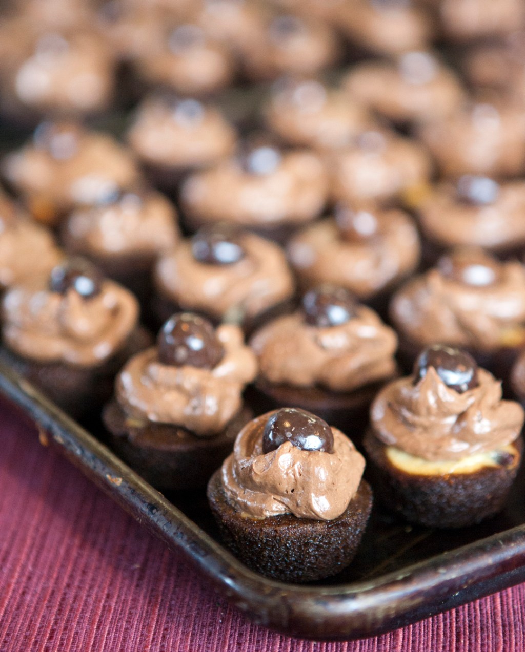 Chocolate/Cream Cheese Cupcakes