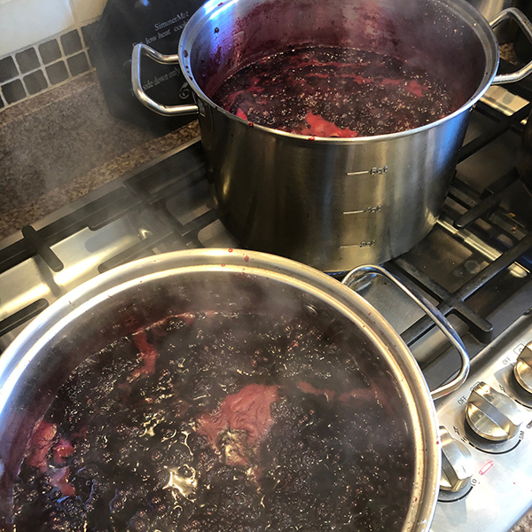 Blackberry Jam Day
