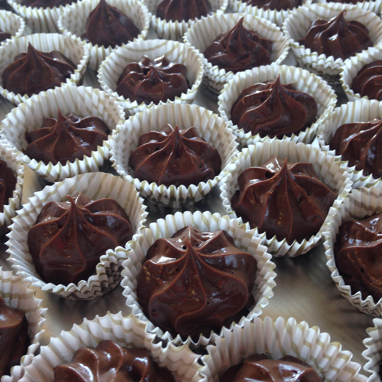 Minty Chocolate Bites