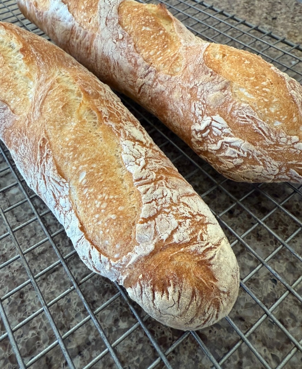 Authentic French Baguettes